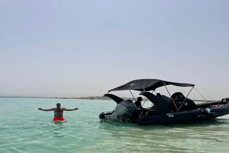 Hurghada: Osservazione dei delfini in motoscafo e Snorkeling con pranzoOsservazione privata dei delfini e snorkeling con pranzo al sacco