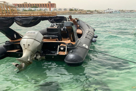 Hurghada: Observação de golfinhos em lancha rápida e mergulho com snorkel com almoçoObservação particular de golfinhos e mergulho com snorkel com lancheira