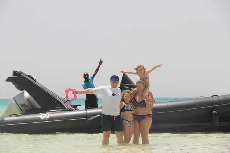 Hurghada: Speedboat Dolphin Watching and Snorkeling Shared Tour