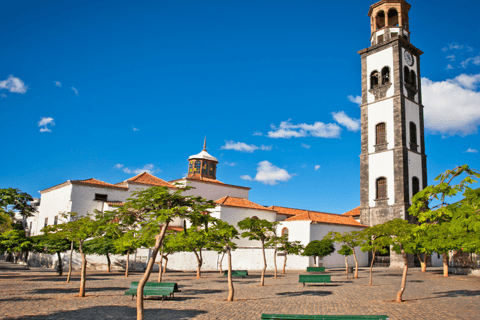 Tenerife: excursion privée d'une journée à Taganana et Anaga avec prise en charge