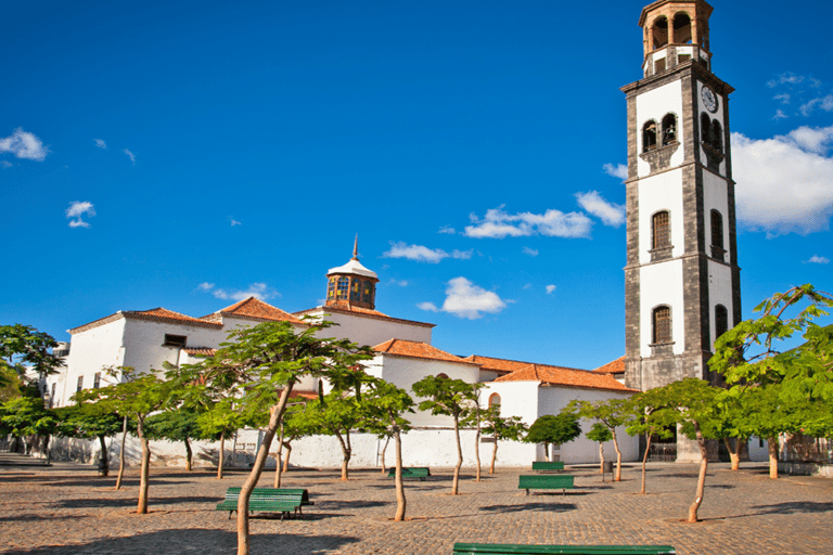 Tenerife: excursión privada de un día a Taganana y Anaga con recogida