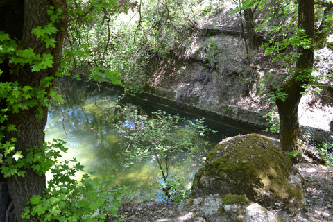 Rhodos: Filerimos, Schmetterlingstal und die antike Kamiros-Tour