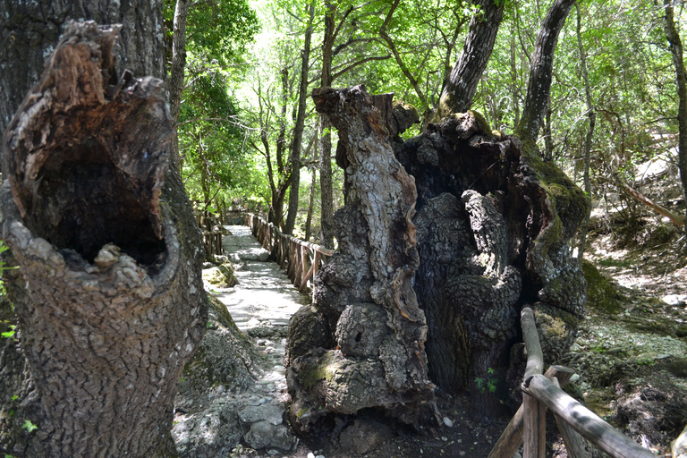 Rodos: Filerimos, Dolina Motyli i Starożytna wycieczka Kamiros