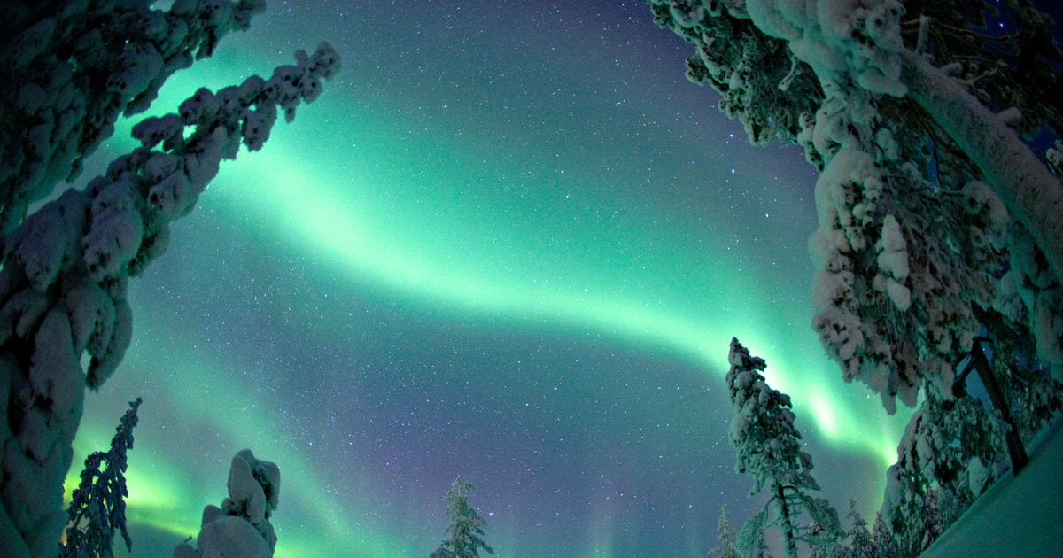 Rovaniemi: Northern Lights Tour With Electric Snowmobiles | GetYourGuide