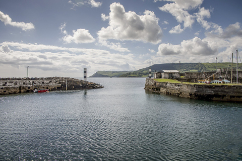 From Belfast: Giant's Causeway Fully Guided Day Trip Luxury Coach Tour w/Meeting Point 22-32 Donegall Road