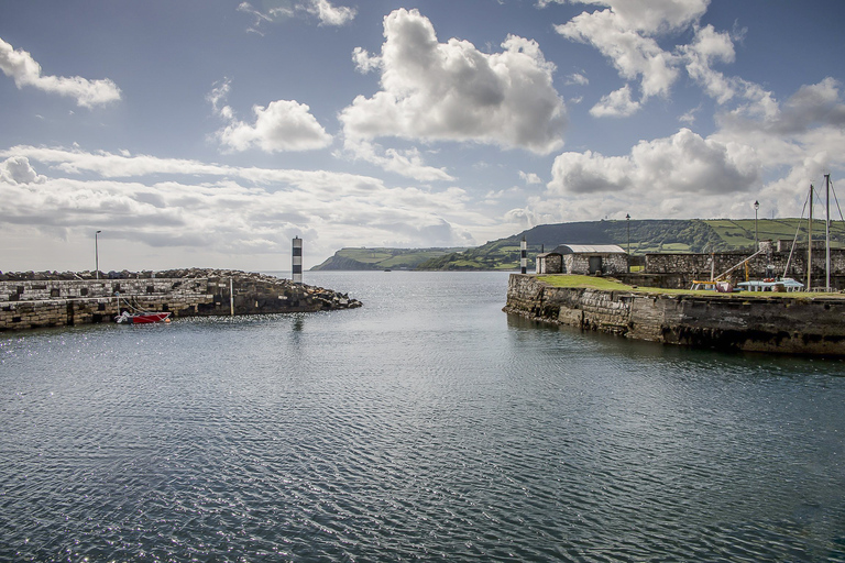 De Belfast: Viagem de 1 dia com guia à Giant&#039;s Causeway