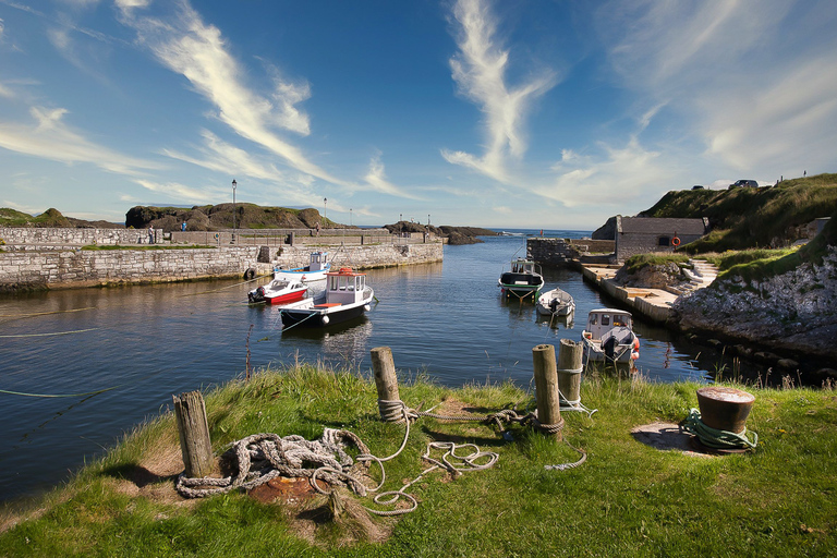 From Belfast: Giant's Causeway Fully Guided Day Trip Luxury Coach Tour w/Meeting Point 22-32 Donegall Road