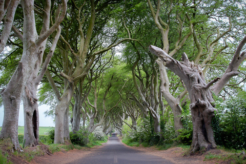 Desde Belfast: excursión guiada de un día completo a la Calzada del GiganteTour en autocar de lujo con punto de encuentro en 22-32 Donegall Road