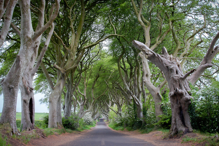 Desde Belfast: excursión guiada de un día completo a la Calzada del GiganteTour en autocar de lujo con punto de encuentro en 22-32 Donegall Road