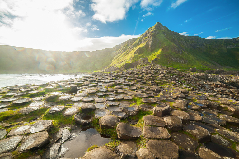 De Belfast: Viagem de 1 dia com guia à Giant&#039;s Causeway