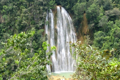 From Punta Cana: Samaná, Cayo Levantado & El Limón Waterfall