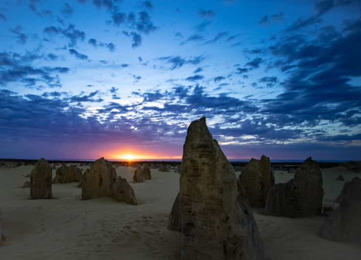 From Perth The Pinnacles Desert Sunset and StarGazing Tour GetYourGuide