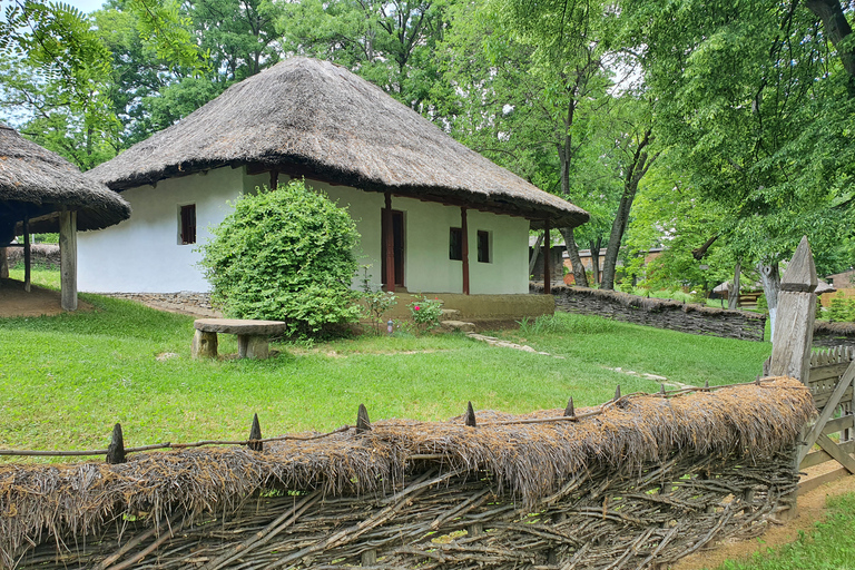 Tour della città di Bucarest 4h - Tour per piccoli gruppi in autoOpzione standard