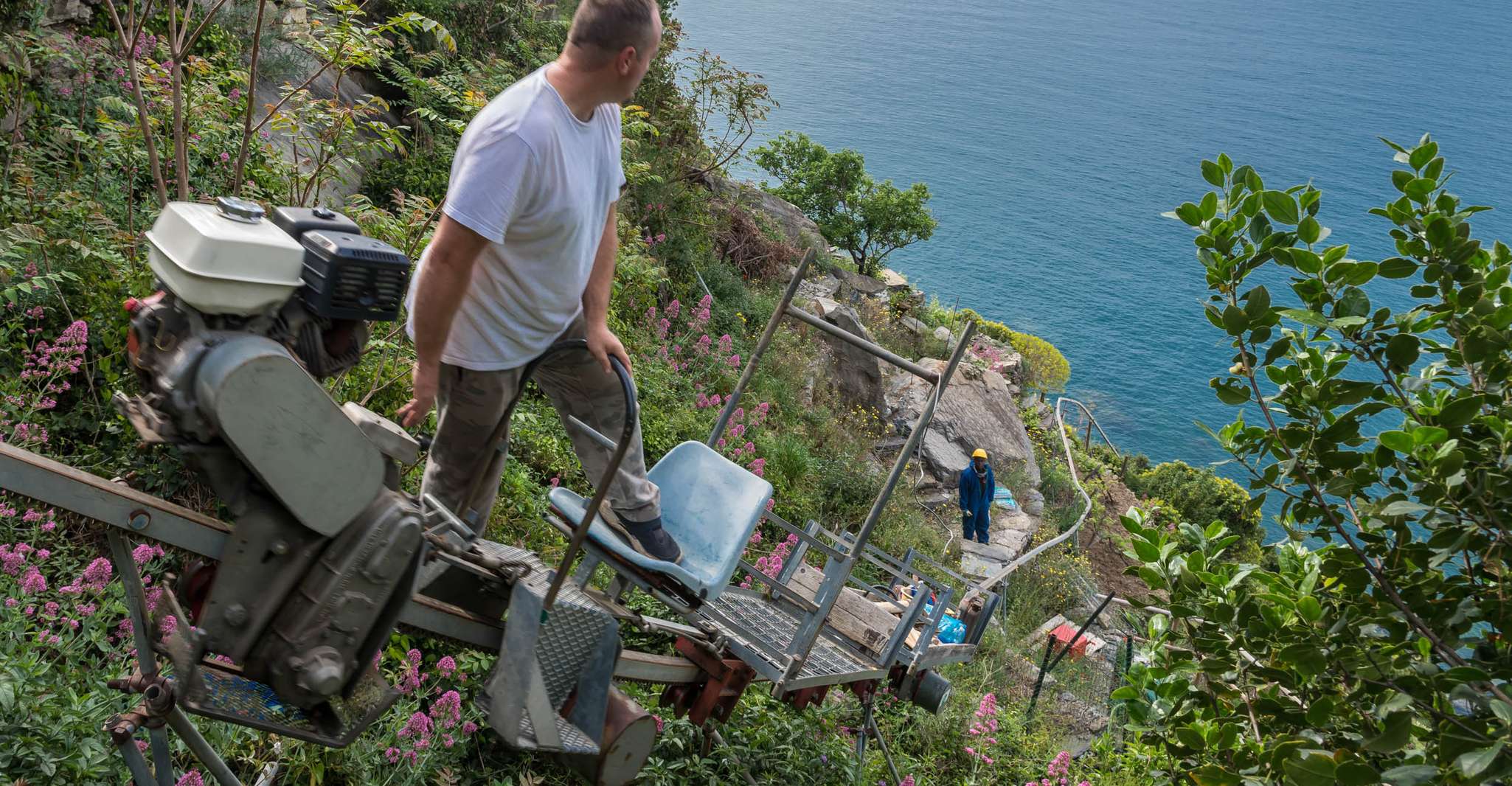 Riomaggiore, Vineyard & Wine Cellar Tour with Wine Tasting - Housity