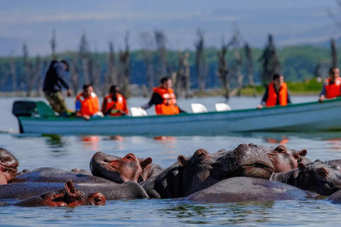 Vanuit Nairobi: Tocht door Hell's Gate National Park &amp; Lake Naivasha