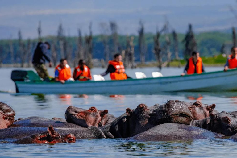 Vanuit Nairobi: Tocht door Hell's Gate National Park &amp; Lake Naivasha