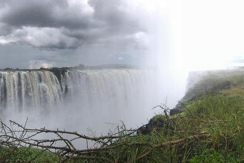 Visita guiada às Cataratas Vitória