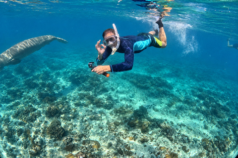 Coron: Dugong and Turtle Watching Tour w/ Lunch & Transfers