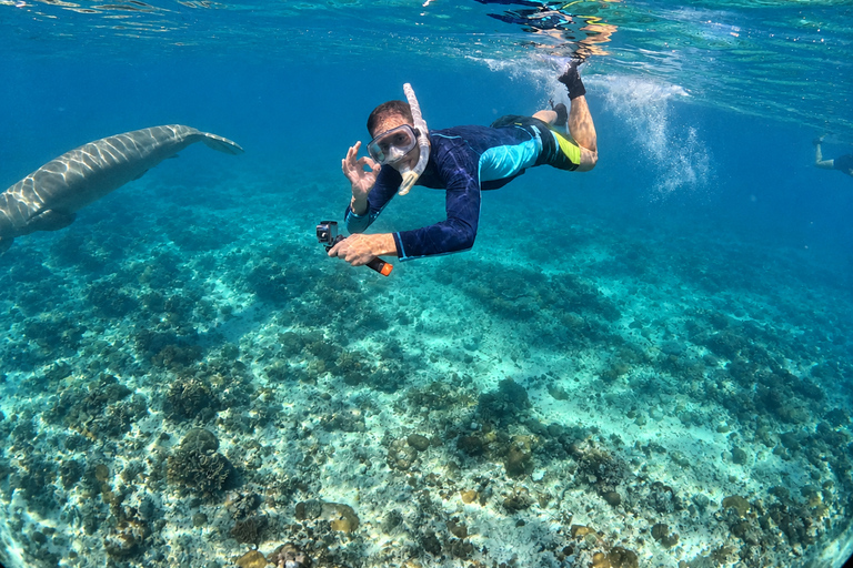 Coron: Dugong and Turtle Watching Tour w/ Lunch & Transfers