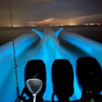 Desde Puntarenas, Tour en barco Bioluminiscence con barbacoa y bebidas - Hizvo