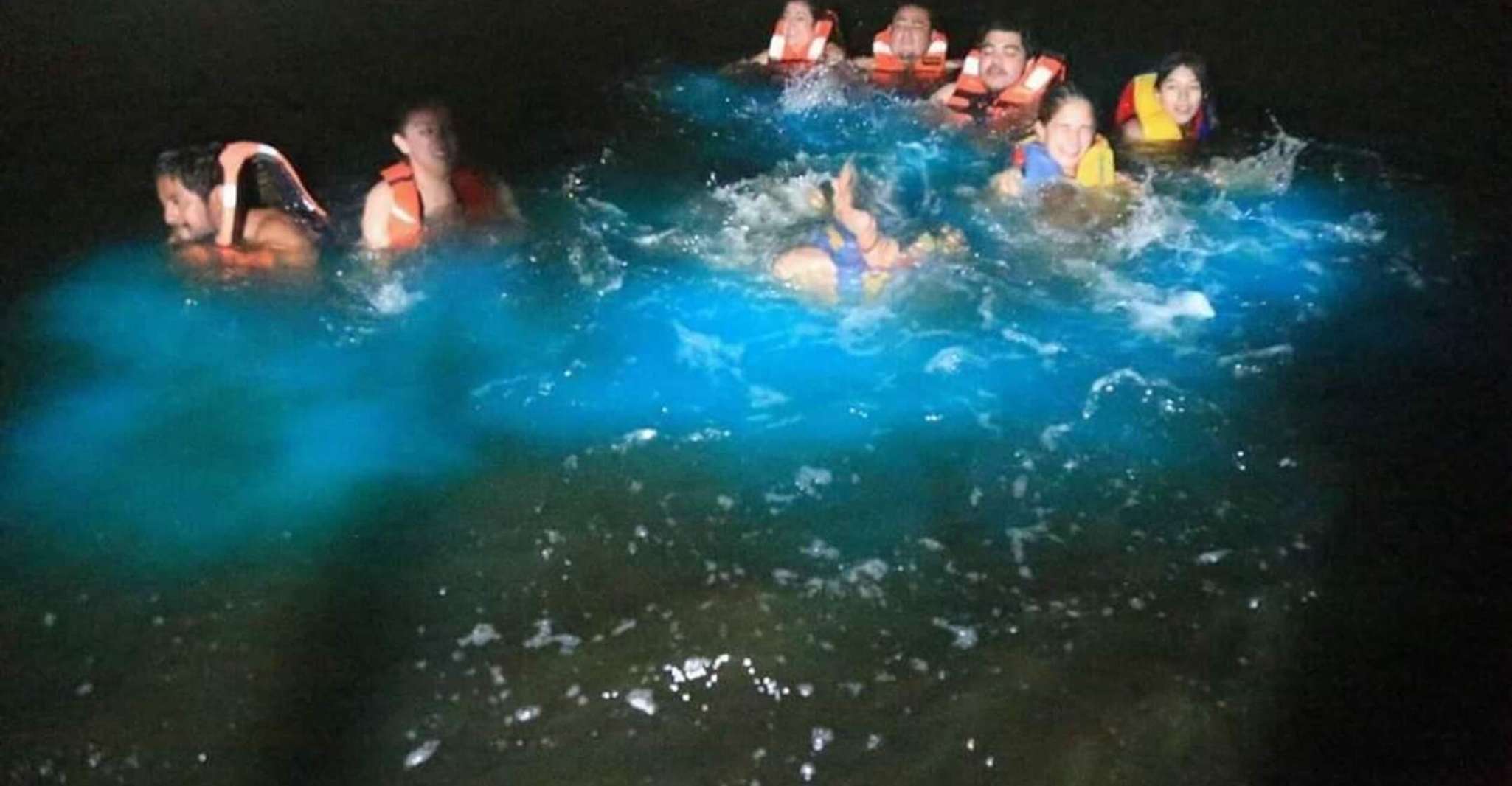 De Puntarenas, visite en bateau de Bioluminiscence avec barbecue et boissons - Hizvo