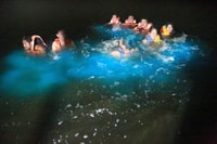 Desde Puntarenas, Tour en barco Bioluminiscence con barbacoa y bebidas - Hizvo