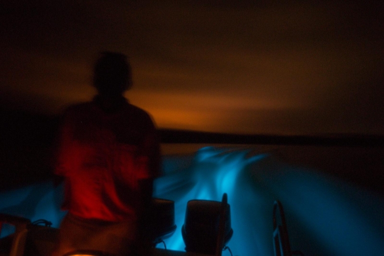 Desde Jaco: tour en barco de bioluminiscencia con barbacoa y bebidas