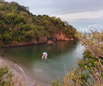 From Jaco: Bioluminiscence Boat Tour with BBQ & Drinks