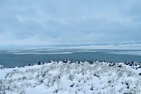 Ulaanbaatar: 4-Day Central Mongolia Winter Tour