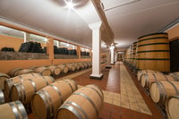 Lake Garda, Garda Hills Wine Tour en proeverij - Housity