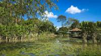 Iquitos, Visita guiada de 6 horas por la vida silvestre - Hizvo