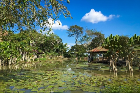 Iquitos: visite guidée de la faune merveilleuse de 6 heuresIquitos: Option de budget pour une visite guidée de la faune merveilleuse