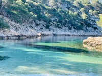 Cassis, Calanques National Park guidé de randonnée en demi-journée - Housity