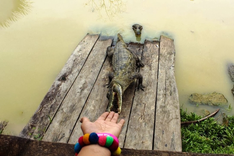 Iquitos: tour guiado de vida silvestre maravillosa de 6 horasIquitos: Maravillosa Opción de Presupuesto del Tour Guiado de Vida Silvestre