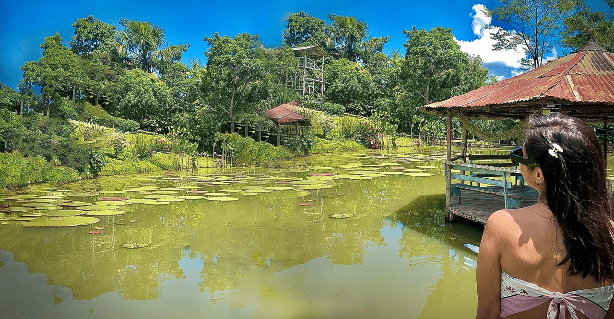 Iquitos, Excursão Guiada à Vida Selvagem Maravilhosa de 6 Horas - Hizvo