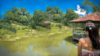 Iquitos, Visita guiada de 6 horas por la vida silvestre - Hizvo