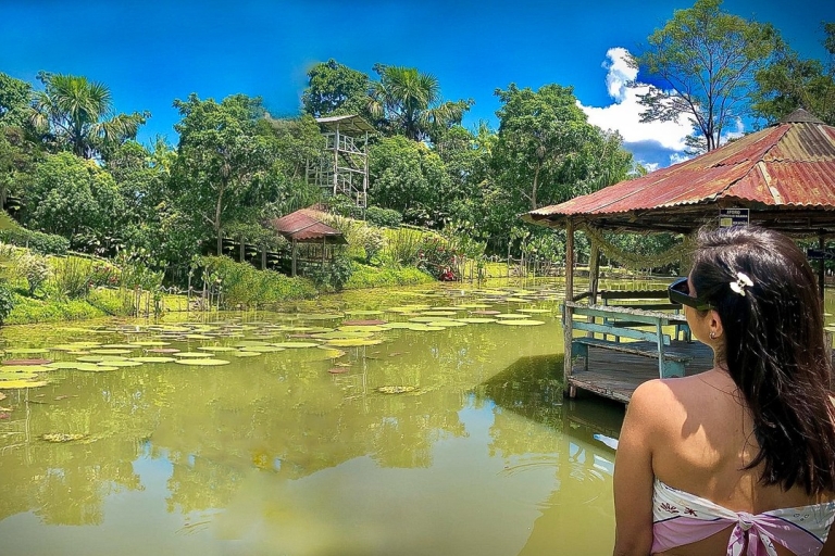 Iquitos: 6-godzinna wspaniała wycieczka z przewodnikiem po przyrodzieIquitos: Wonderful Wildlife Guided Tour Budget Option