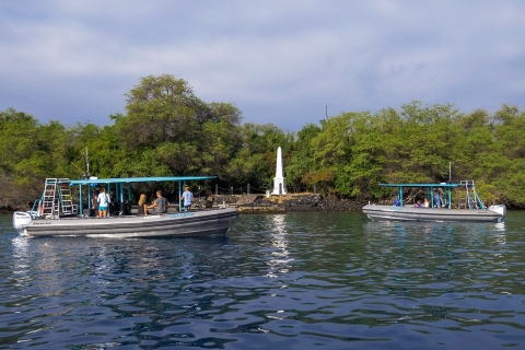 Big Island: Kona Halbtagestour mit Schnorcheln und Mittagessen