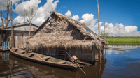 Visite guidée d'Iquitos, Belen Market et Venise Loretana - Hizvo