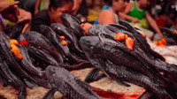 Visite guidée d'Iquitos, Belen Market et Venise Loretana - Hizvo