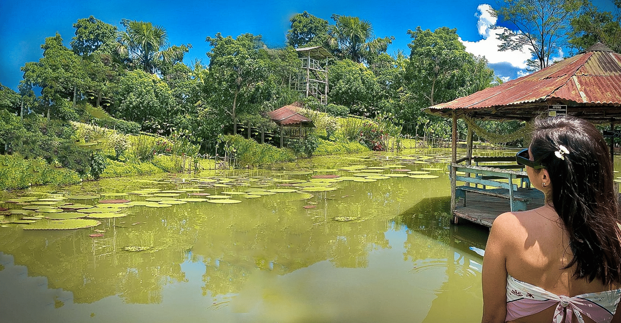 From Iquitos, 3-Day Amazon Jungle Adventure Trip - Housity