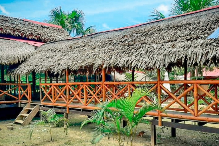 Au départ d'Iquitos : Voyage d'aventure de 3 jours dans la jungle amazonienneD'Iquitos: voyage d'aventure de 3 jours dans la jungle amazonienne