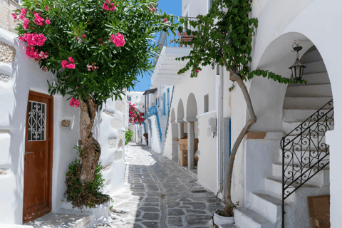From Crete: Santorini Island Guided Tour