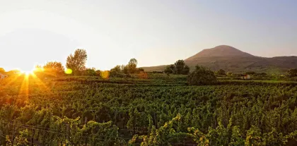 Boscotrecase: Vesuv-Weinverkostungstour mit Mittagessen