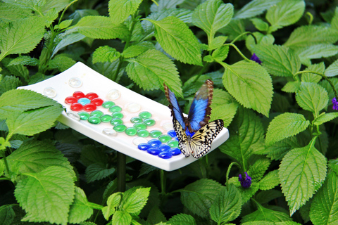 Niagara Winter Wonderland com 4 atrações e degustação de xarope