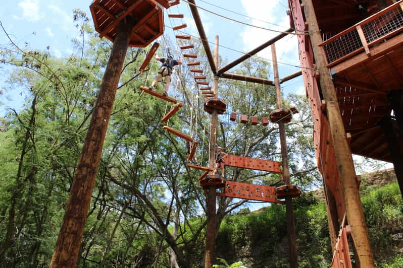 Oahu Coral Crater Aerial Challenge Course GetYourGuide