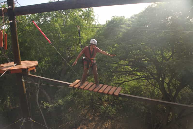 Oahu Coral Crater Aerial Challenge Course GetYourGuide