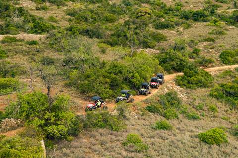 Albufeira: Ganztägige Off-Road Buggy Tour mit Mittagessen &amp; GuideEinzelner Buggy