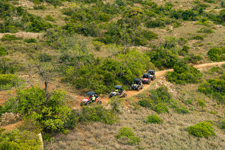 Albufeira: tour in buggy fuoristrada di un&#039;intera giornata con pranzo e guidaBuggy singolo