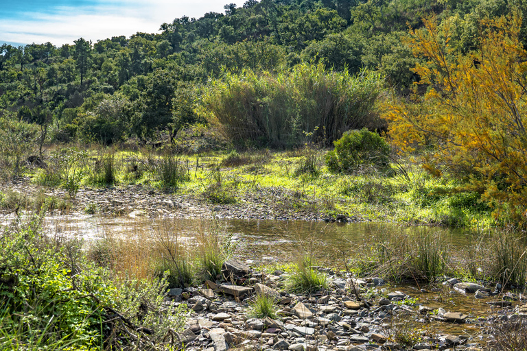 Albufeira: Full Day Off-Road Buggy Tour with Lunch & Guide Single Buggy